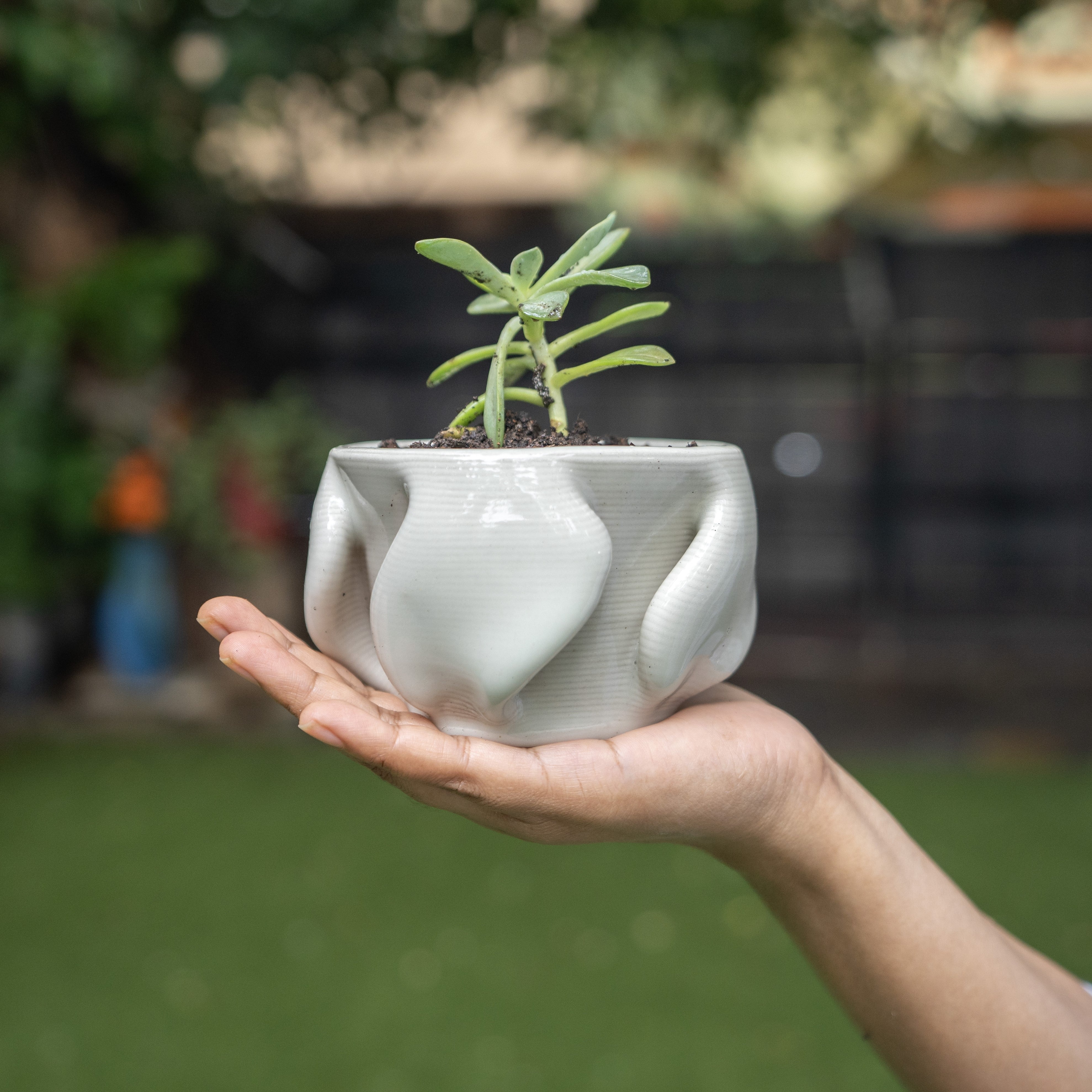 White ceramic planter #color_white