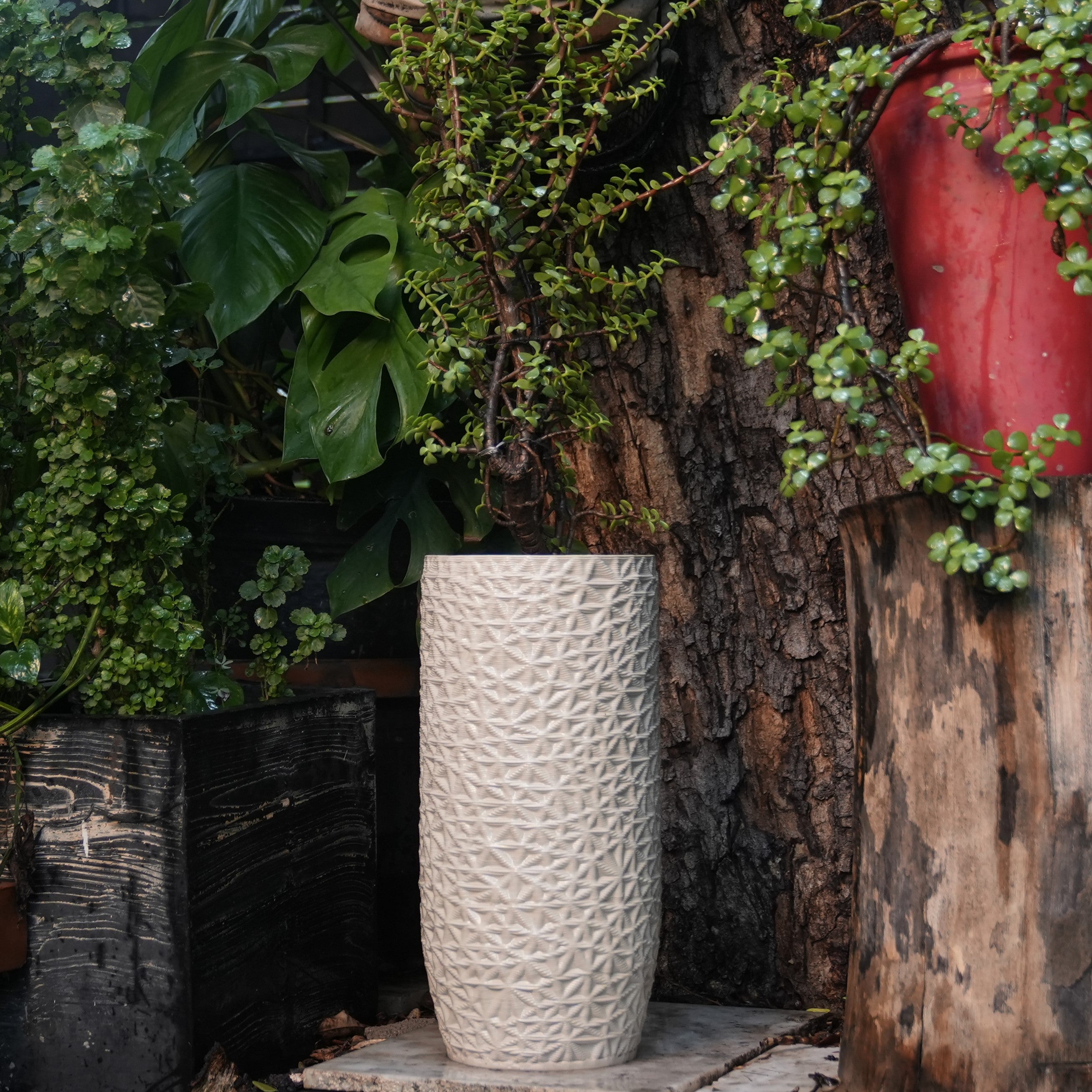 Tall white Ceramic floor vase with jade plant #color_white